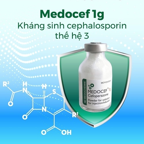 Medocef 1g